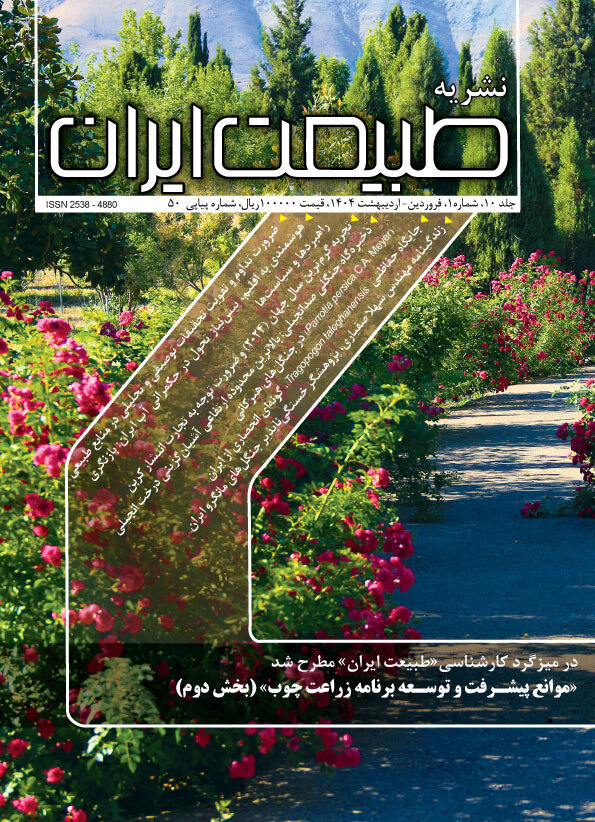 شماره ۵۰