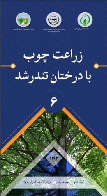 بروشور 6