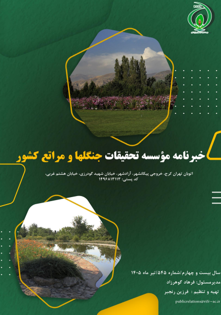 خبرنامه شماره 545
