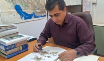 با تلاش محققان صورت گرفت: نجات گیاه گاوزبان خوزستانی از انقراض