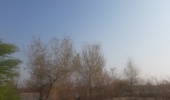 پدهزارهای حاشیه کرخه؛ اکوسیستمهای ارزشمند در معرض تهدید