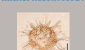 انتخاب تصویر داینوفلاژله ژوراسیک ایران برای جلد مجله Marine Micropaleontology