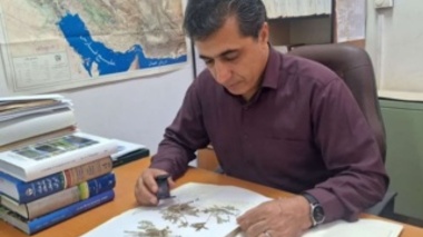با تلاش محققان صورت گرفت: نجات گیاه گاوزبان خوزستانی از انقراض