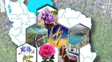 برای نخستین‌بار در کشور؛ برنامه تولید بهینه الگوی کشت گیاهان دارویی منتشر شد