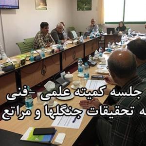 جلسه کمیته علمی -فنی
