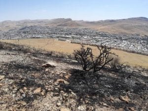 Rangeland Fire